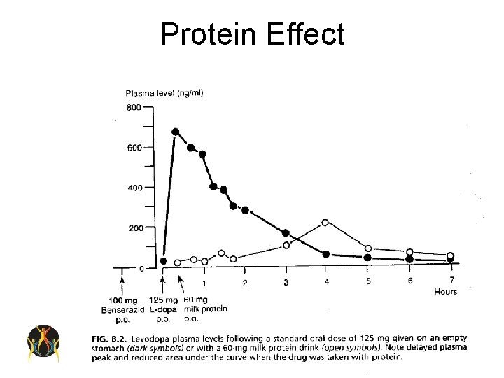 Protein Effect 