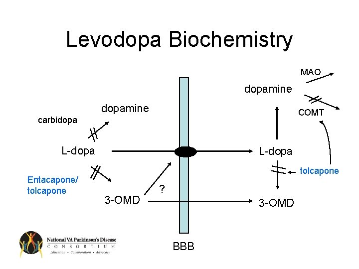 Levodopa Biochemistry MAO dopamine COMT carbidopa L-dopa Entacapone/ tolcapone L-dopa tolcapone 3 -OMD ?