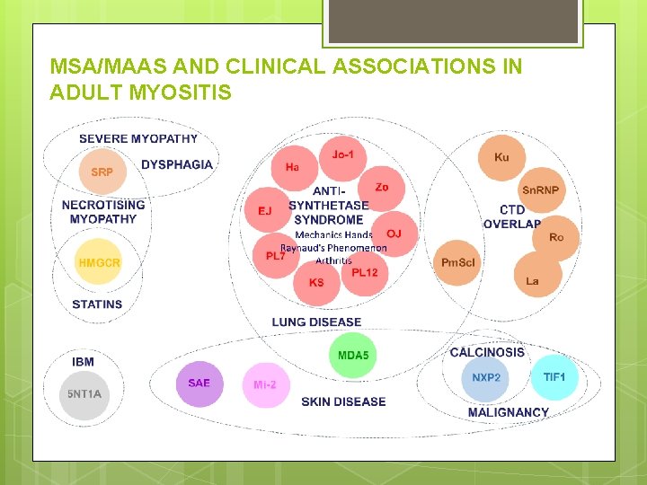 MSA/MAAS AND CLINICAL ASSOCIATIONS IN ADULT MYOSITIS 