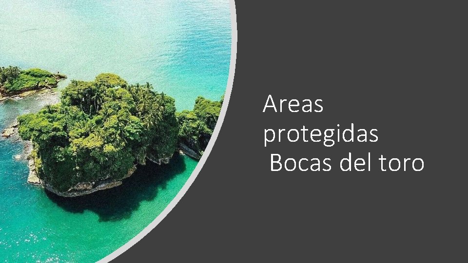 Areas protegidas Bocas del toro 