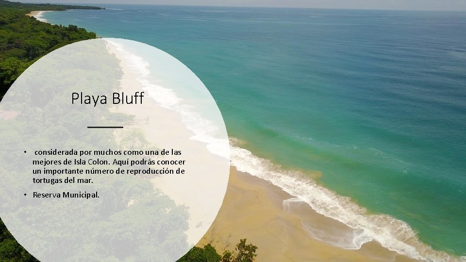 Playa Bluff • considerada por muchos como una de las mejores de Isla Colon.