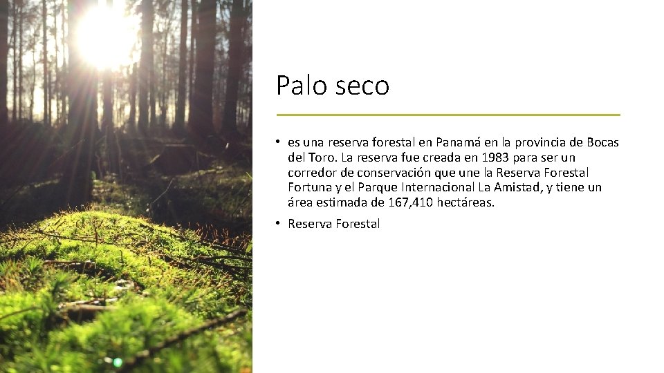 Palo seco • es una reserva forestal en Panamá en la provincia de Bocas