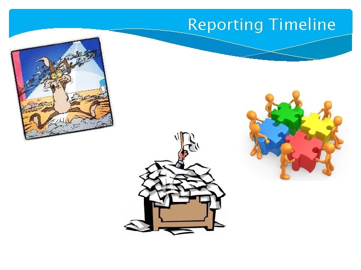 Reporting Timeline 