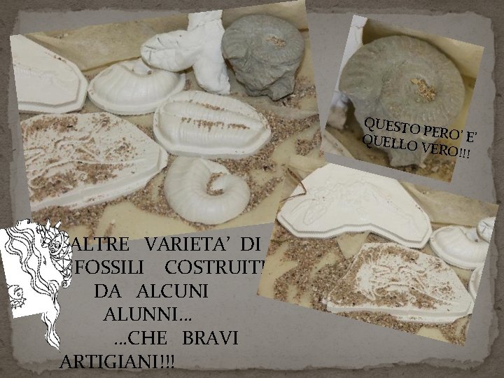 QUESTO PERO’ E ’ QUELLO VERO!!! ALTRE VARIETA’ DI FOSSILI COSTRUITE DA ALCUNI ALUNNI…