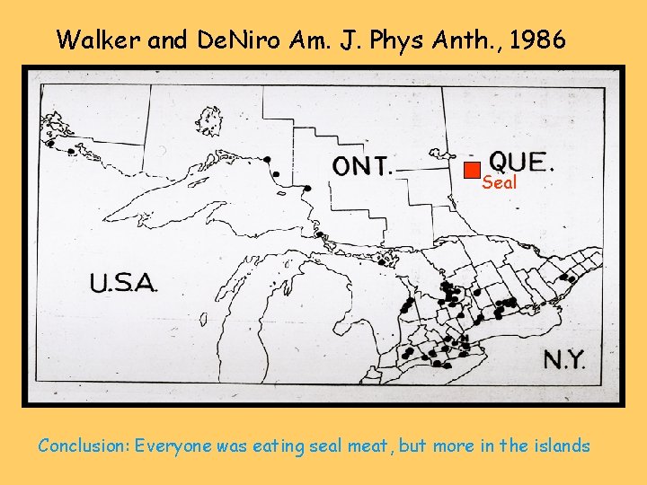 Walker and De. Niro Am. J. Phys Anth. , 1986 Seal Conclusion: Everyone was