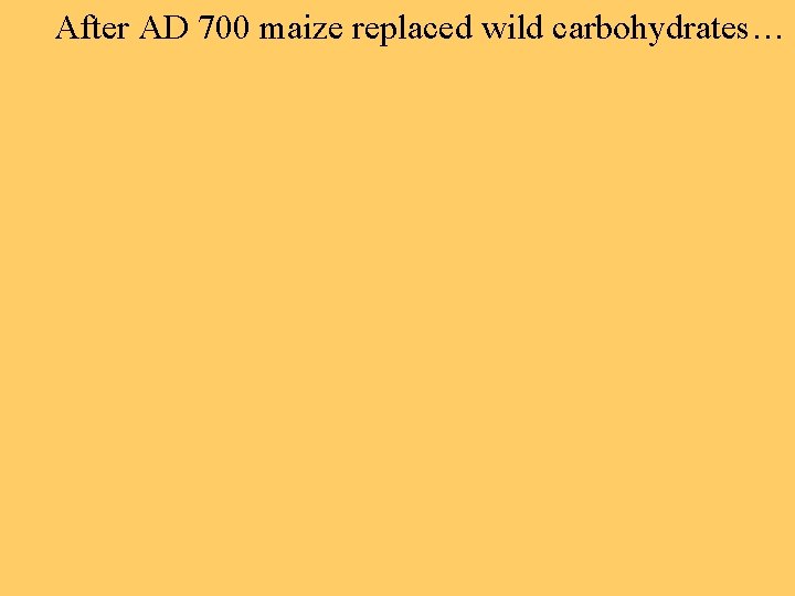 After AD 700 maize replaced wild carbohydrates… 