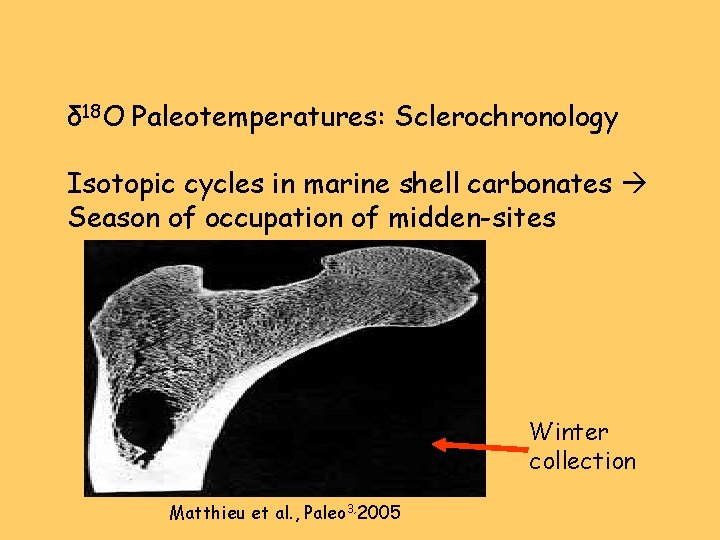 δ 18 O Paleotemperatures: Sclerochronology Isotopic cycles in marine shell carbonates Season of occupation