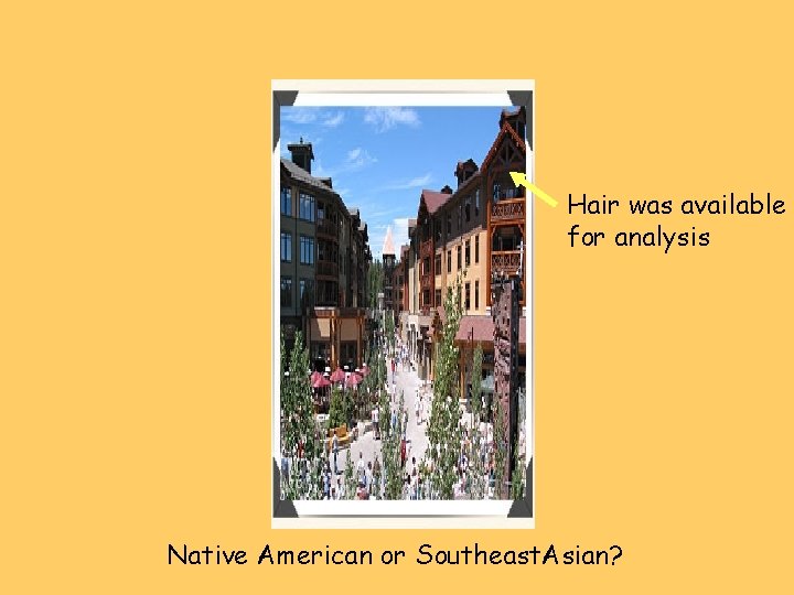 Hair was available for analysis Native American or Southeast. Asian? 