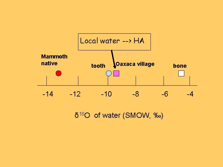 Local water --> HA Mammoth native -14 tooth -12 -10 Oaxaca village -8 bone