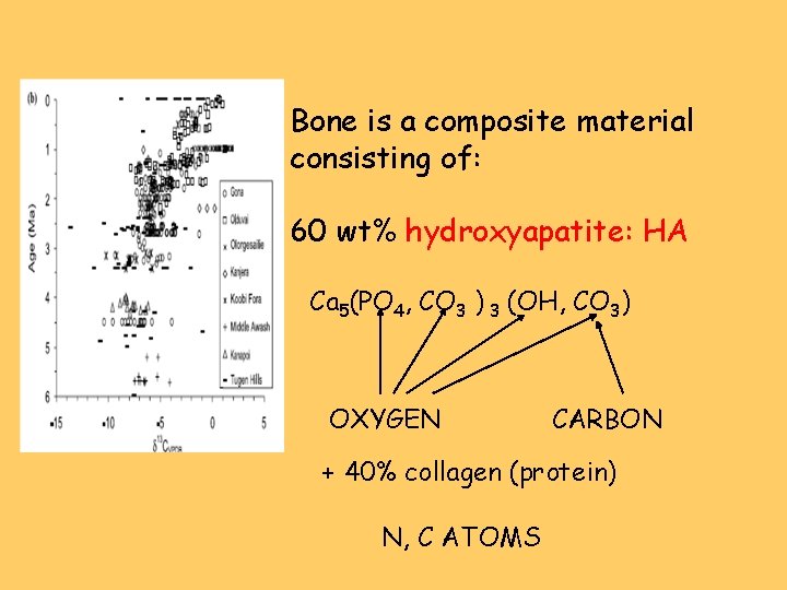 Bone is a composite material consisting of: 60 wt% hydroxyapatite: HA Ca 5(PO 4,