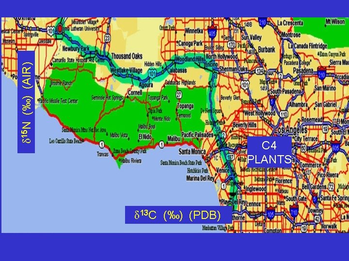 δ 15 N (‰) (AIR) C 4 PLANTS δ 13 C (‰) (PDB) 