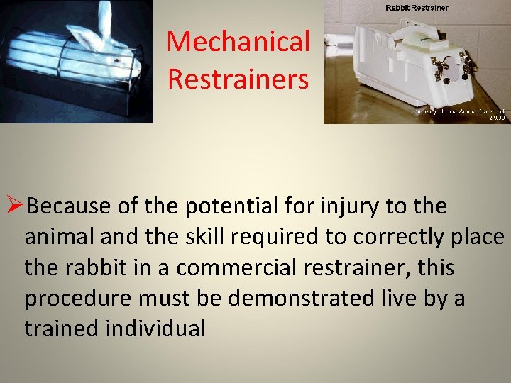 Mechanical Restrainers ØBecause of the potential for injury to the animal and the skill