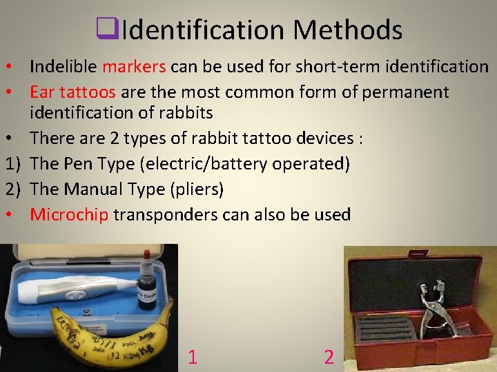 q. Identification Methods • Indelible markers can be used for short-term identification • Ear