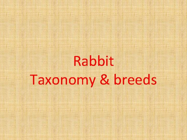 Laboratory rabbit Dep laboratory animal science Dr kourosh
