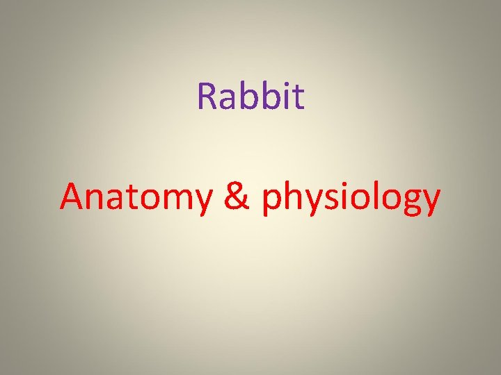 Rabbit Anatomy & physiology 