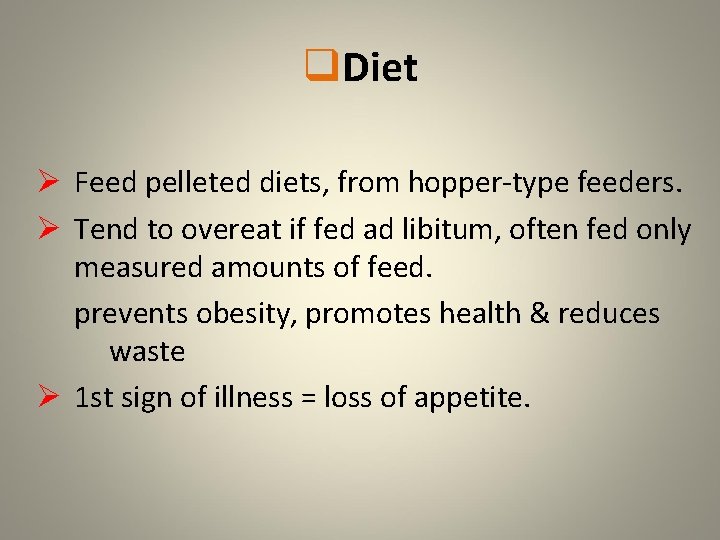 q. Diet Ø Feed pelleted diets, from hopper-type feeders. Ø Tend to overeat if