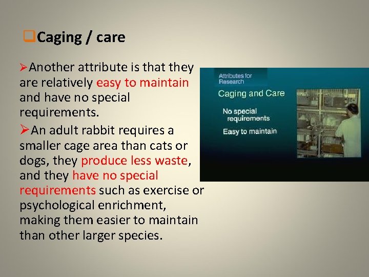 q. Caging / care ØAnother attribute is that they are relatively easy to maintain