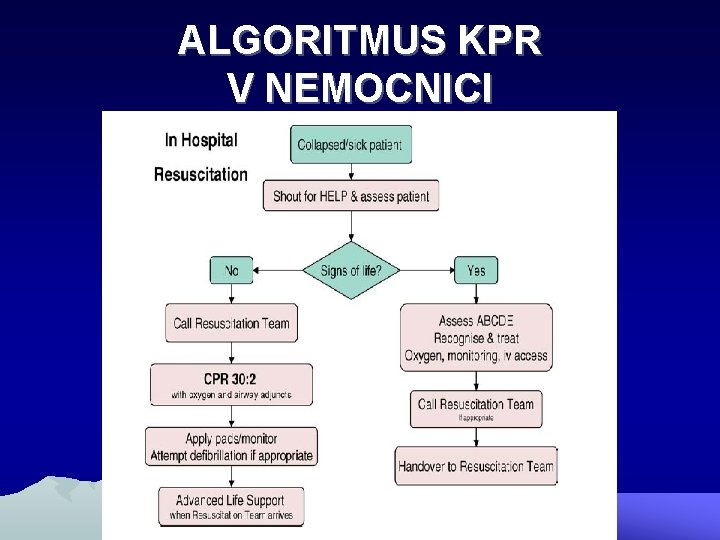 ALGORITMUS KPR V NEMOCNICI 