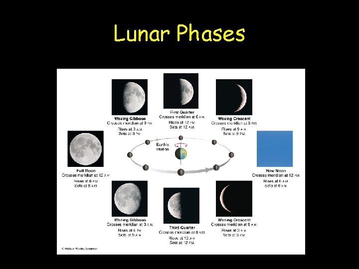 Lunar Phases 