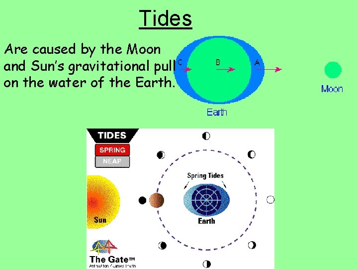 Tides Are caused by the Moon and Sun’s gravitational pull on the water of