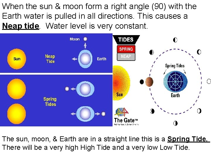 When the sun & moon form a right angle (90) with the Earth water