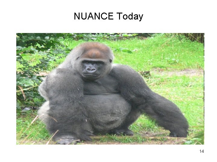 NUANCE Today 14 