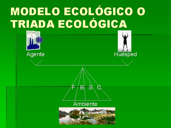 MODELO ECOLÓGICO O TRIADA ECOLÓGICA Agente Huésped F B S C Ambiente 