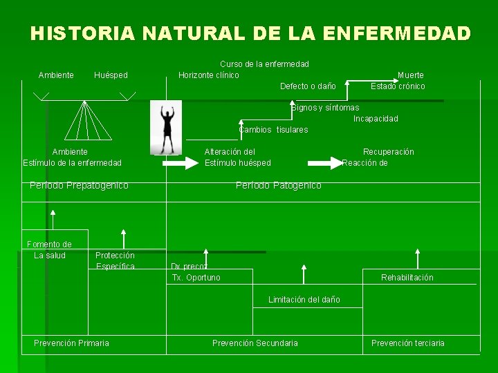 HISTORIA NATURAL DE LA ENFERMEDAD Ambiente Huésped Curso de la enfermedad Horizonte clínico Defecto