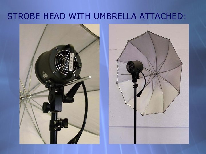 STROBE HEAD WITH UMBRELLA ATTACHED: 