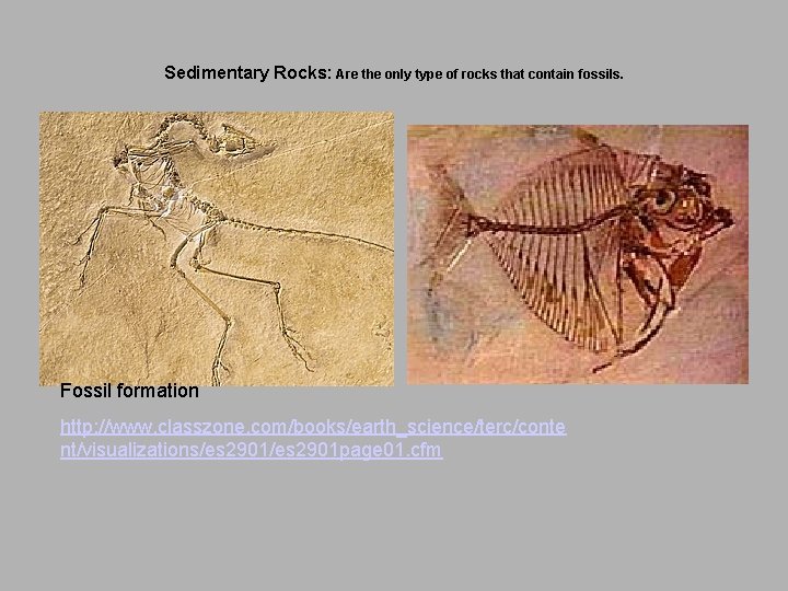 Sedimentary Rocks: Are the only type of rocks that contain fossils. Fossil formation http: