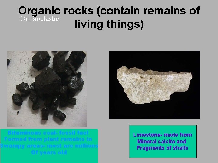 Organic rocks (contain remains of Or Bioclastic living things) Bituminous coal- fossil fuel Formed