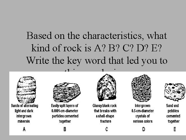 Based on the characteristics, what kind of rock is A? B? C? D? E?