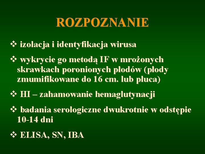 ROZPOZNANIE v izolacja i identyfikacja wirusa v wykrycie go metodą IF w mrożonych skrawkach