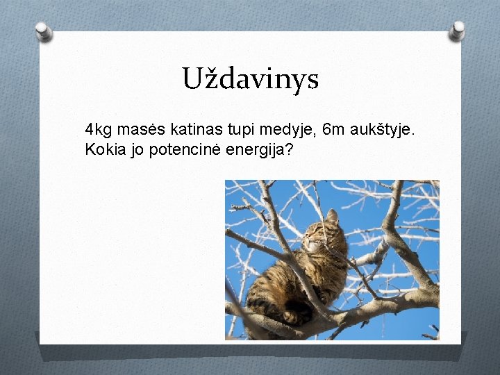 Uždavinys 4 kg masės katinas tupi medyje, 6 m aukštyje. Kokia jo potencinė energija?