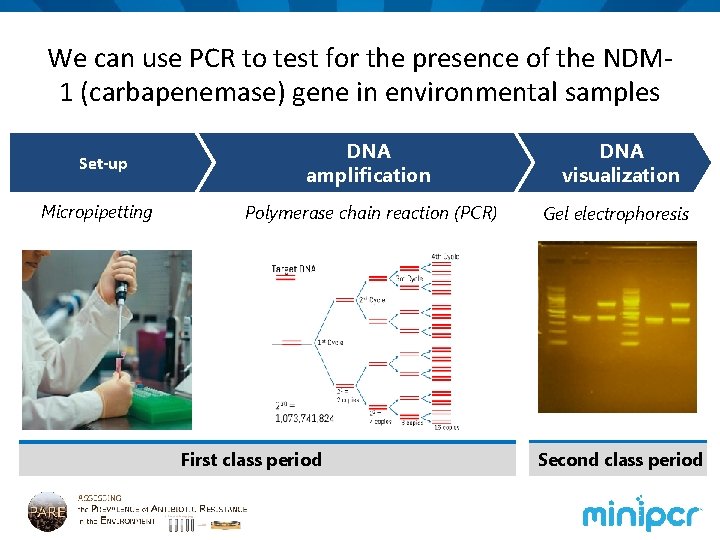 We can use PCR to test for the presence of the NDM 1 (carbapenemase)