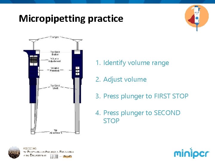 Micropipetting practice 1. Identify volume range 2. Adjust volume 3. Press plunger to FIRST