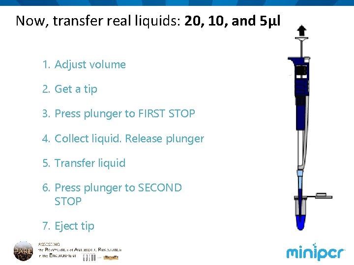 Now, transfer real liquids: 20, 10, and 5µl 1. Adjust volume 2. Get a