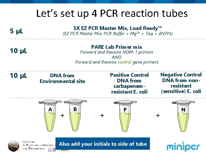 Let’s set up 4 PCR reaction tubes 5 X EZ PCR Master Mix, Load