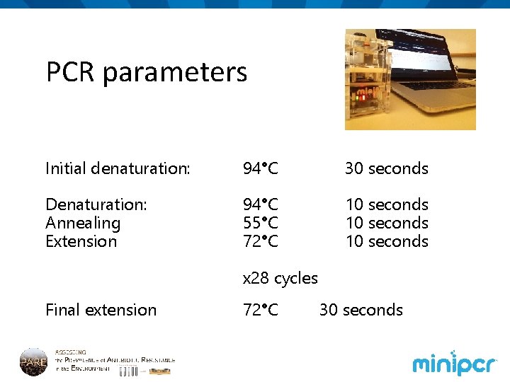 PCR parameters Initial denaturation: 94°C 30 seconds Denaturation: Annealing Extension 94°C 55°C 72°C 10