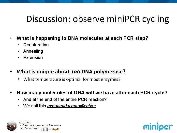 Discussion: observe mini. PCR cycling • What is happening to DNA molecules at each