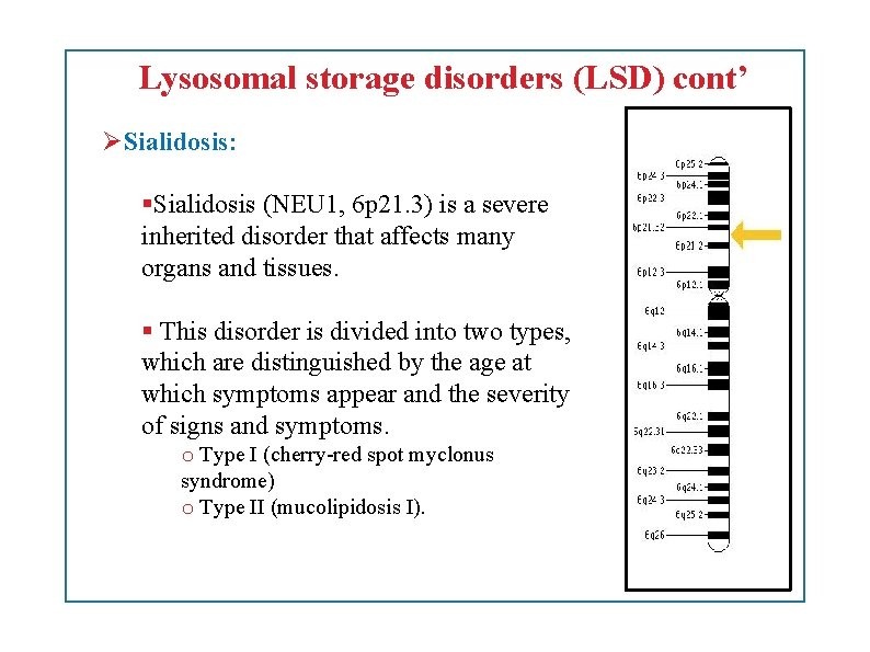 Lysosomal storage disorders (LSD) cont’ Sialidosis: Sialidosis (NEU 1, 6 p 21. 3) is