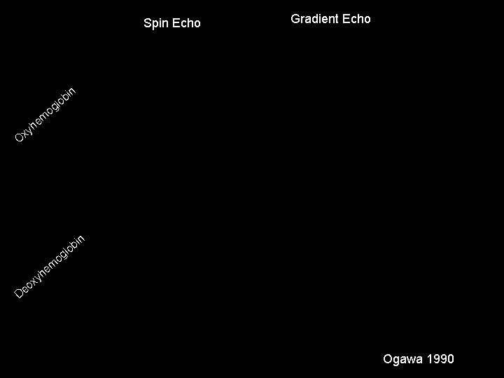 Spin Echo b lo Gradient Echo in og em h xy O l og