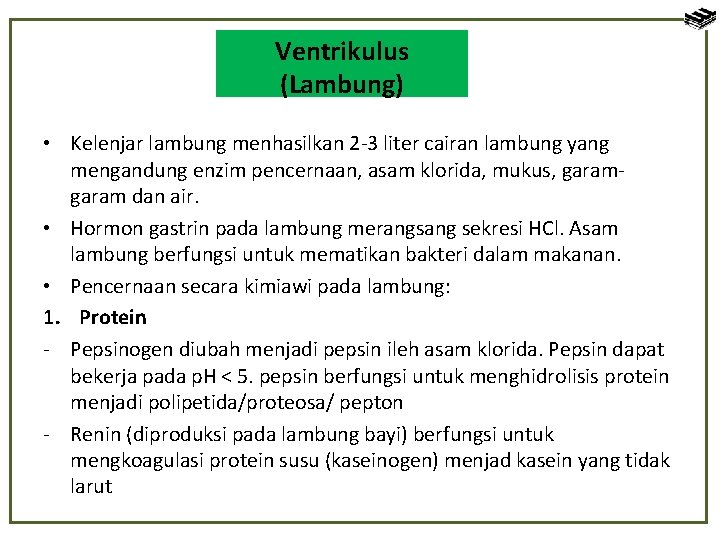 Ventrikulus (Lambung) • Kelenjar lambung menhasilkan 2 -3 liter cairan lambung yang mengandung enzim