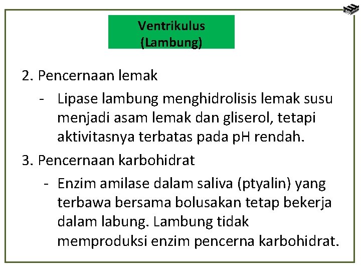 Ventrikulus Lambung (Lambung) 2. Pencernaan lemak - Lipase lambung menghidrolisis lemak susu menjadi asam