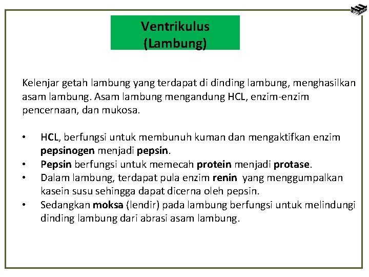 Ventrikulus Lambung (Lambung) Kelenjar getah lambung yang terdapat di dinding lambung, menghasilkan asam lambung.