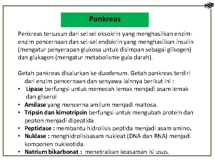 Pankreas Penkreas tersusun dari sel eksokrin yang menghasilkan enzim pencernaan dan sel-sel endokrin yang