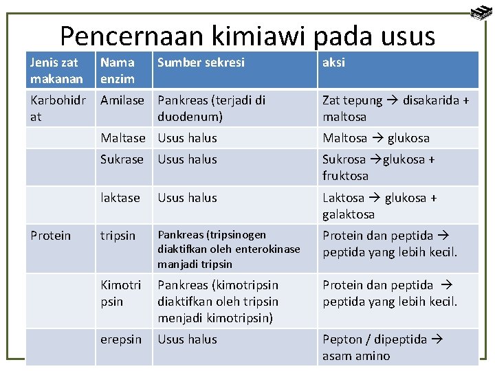 Pencernaan kimiawi pada usus Jenis zat makanan Nama enzim Karbohidr at Amilase Pankreas (terjadi