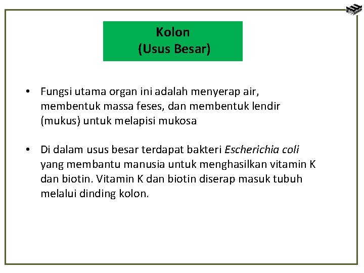 Kolon (Usus Besar) • Fungsi utama organ ini adalah menyerap air, membentuk massa feses,