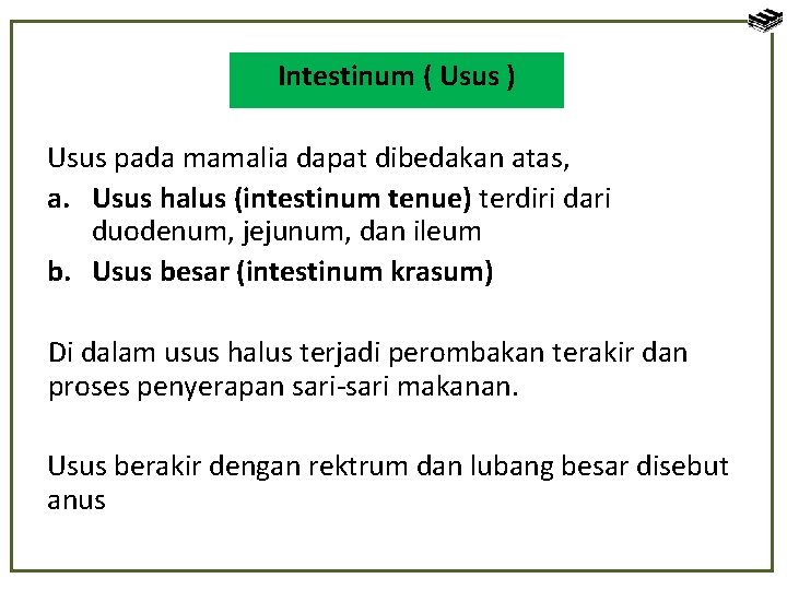 Intestinum ( Usus ) Usus pada mamalia dapat dibedakan atas, a. Usus halus (intestinum