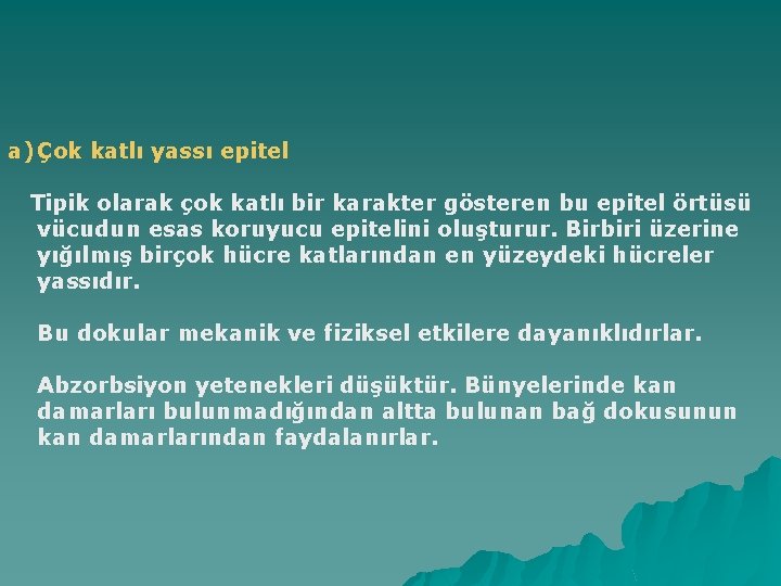 a) Çok katlı yassı epitel Tipik olarak çok katlı bir karakter gösteren bu epitel